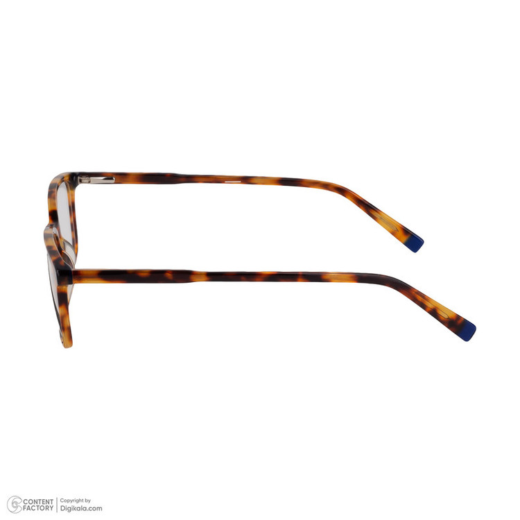 فریم عینک طبی مدل RGA109C3 Acetate Leopard Pattern