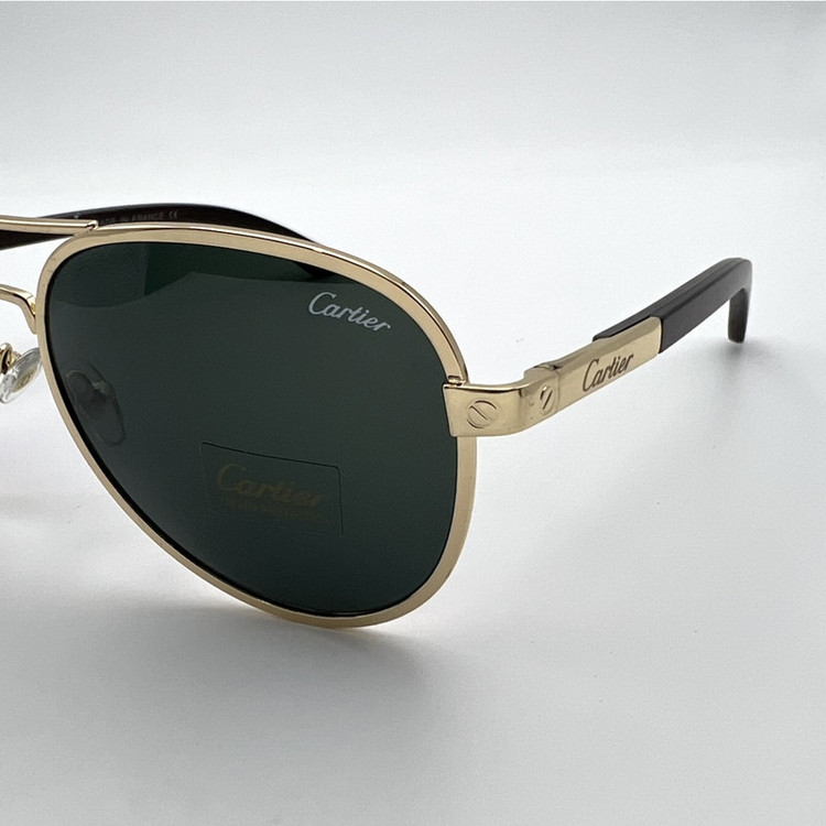 عینک آفتابی مردانه کد ct2851
