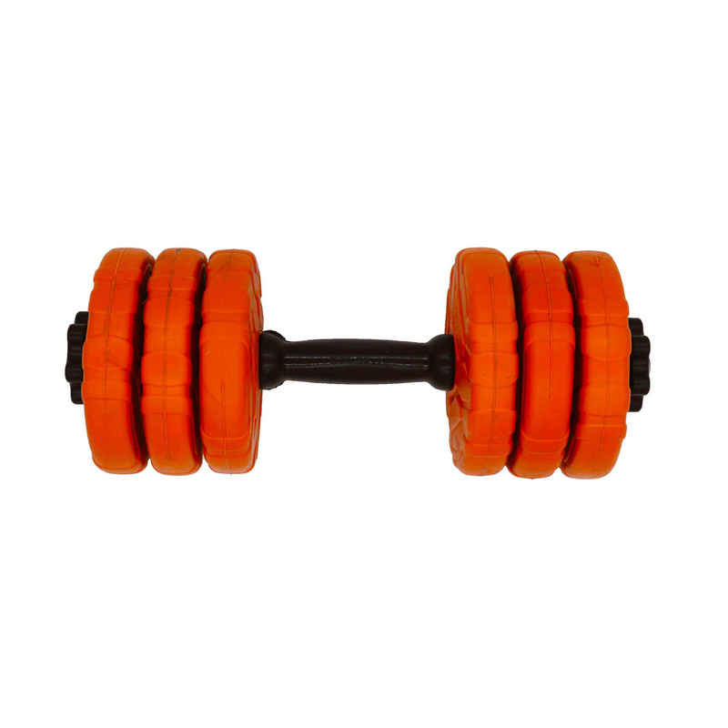 دمبل گرد قابل تنظیم وزن 6 کیلوگرم رادیس فیت مدل DVP 6-1000 one handle