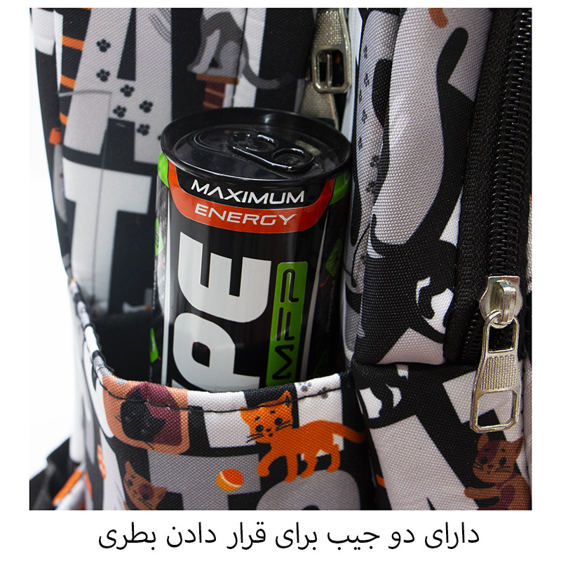 کوله پشتی مدل QW-65421 به همراه جامدادی